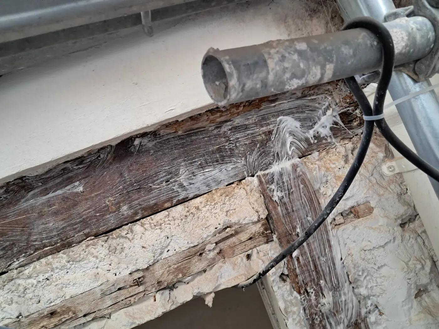 Poutre ancienne en bois dégagée et traitée avant reprise de la structure
